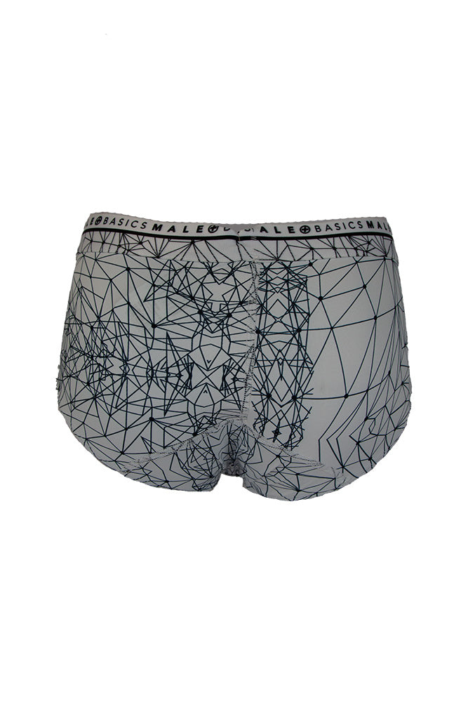 Male Basics - Hipster Brief - Spider Web Pint - MB203SPD - Stag Shop
