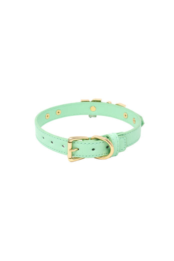 Nobu - Fetish - Babe Collar - Stag Shop