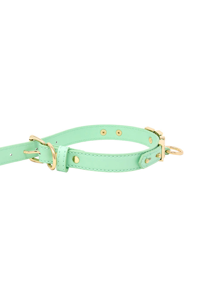 Nobu - Fetish - Babe Collar - Stag Shop