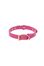 Nobu - Fetish - Bitch Collar - Stag Shop