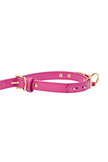Nobu - Fetish - Bitch Collar - Stag Shop