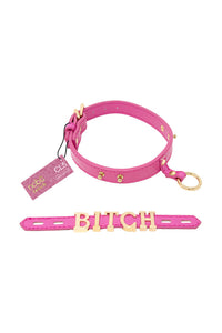 Thumbnail for Nobu - Fetish - Bitch Collar - Stag Shop