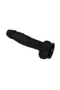 NS Novelties - Colours - 5 Inch Pleasures Dildo - Assorted Colours - Stag Shop
