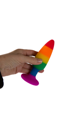 NS Novelties - Colours - Pride Edition - Pleasure Butt Plug - Assorted Sizes - Stag Shop
