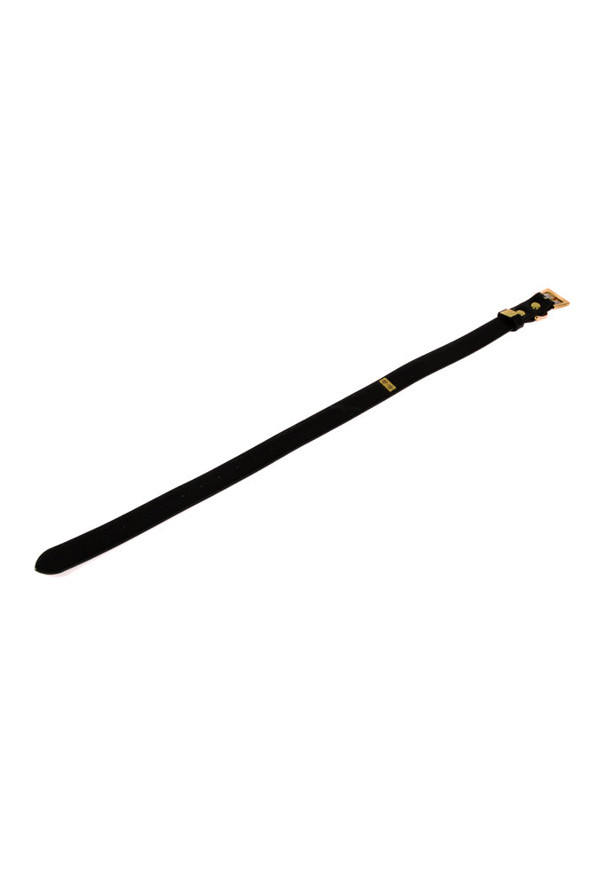 NS Novelties - Fetish & Fashion - Cara Collar - Black/Gold - Stag Shop