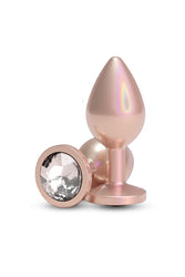 NS Novelties - Rear Assets - Iridescent Aluminum Butt Plug - Stag Shop
