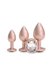 NS Novelties - Rear Assets - 3 Pc Iridescent Aluminum Anal Training Kit - Stag Shop
