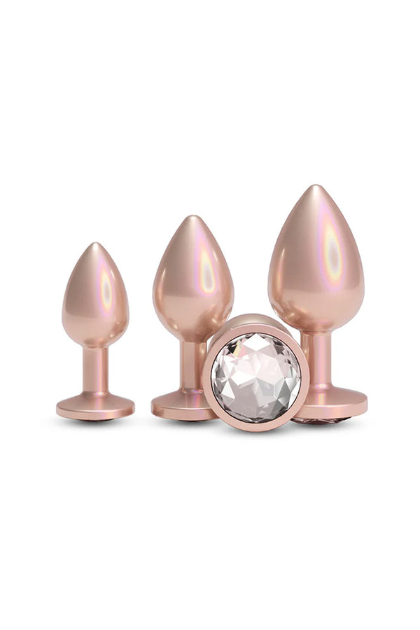 NS Novelties - Rear Assets - 3 Pc Iridescent Aluminum Anal Training Kit - Stag Shop