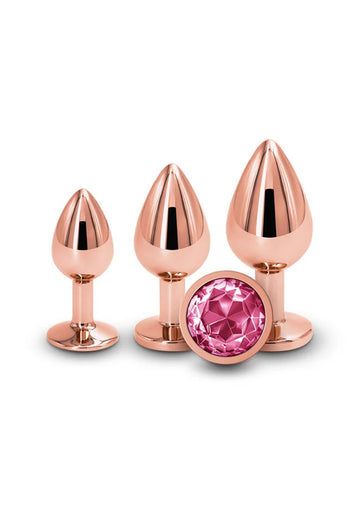 NS Novelties - Rear Assets - 3 Pc Aluminum Anal Training Kit