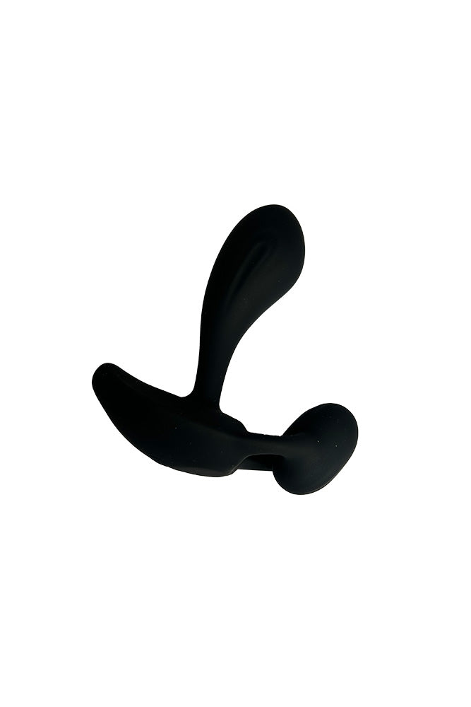NS Novelties - Renegade - Echo Remote Controlled Prostate Massager - Stag Shop
