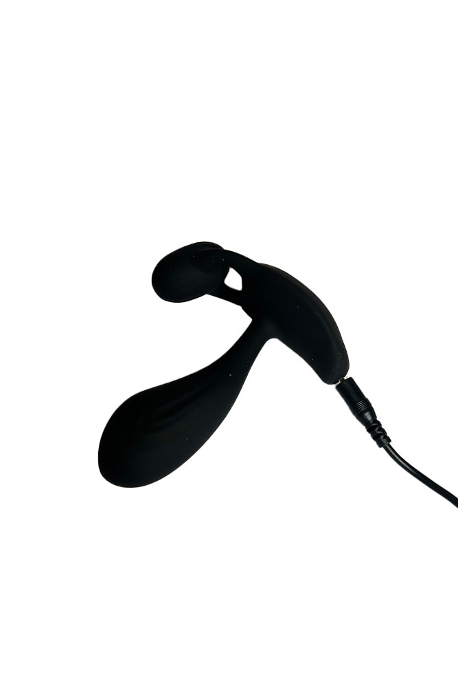 NS Novelties - Renegade - Echo Remote Controlled Prostate Massager - Stag Shop