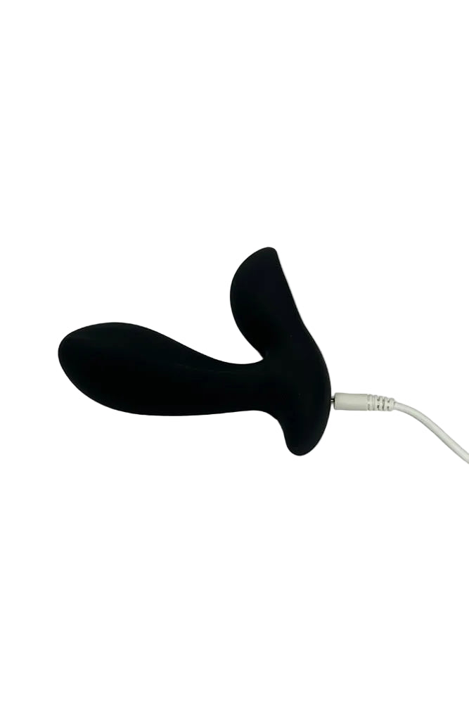 NS Novelties - Renegade - Rain Remote Controlled Prostate Massager - Stag Shop