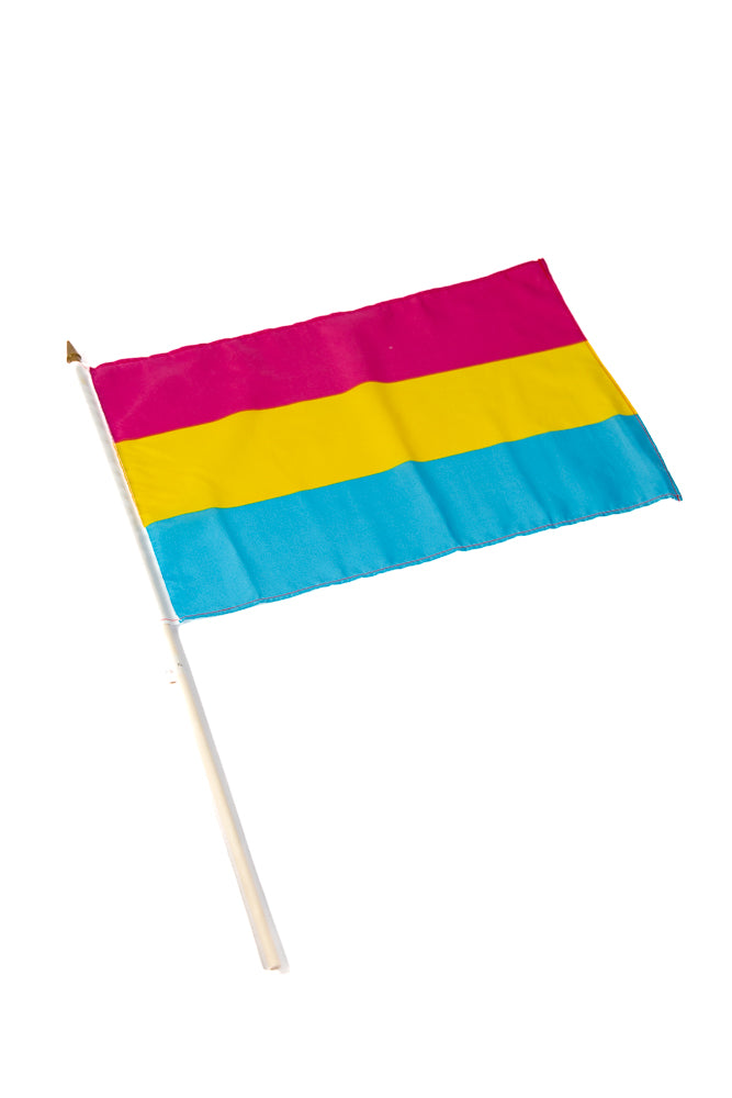 Stag Shop - Pansexual 12x18 Pride Flag On Stick - Stag Shop
