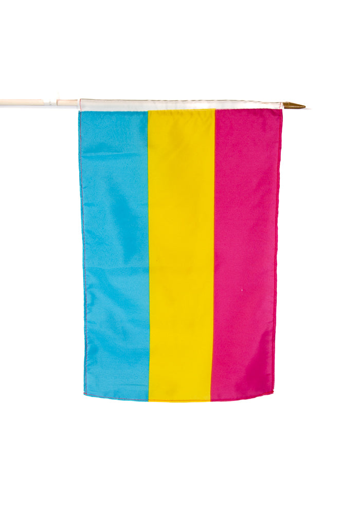 Stag Shop - Pansexual 12x18 Pride Flag On Stick - Stag Shop