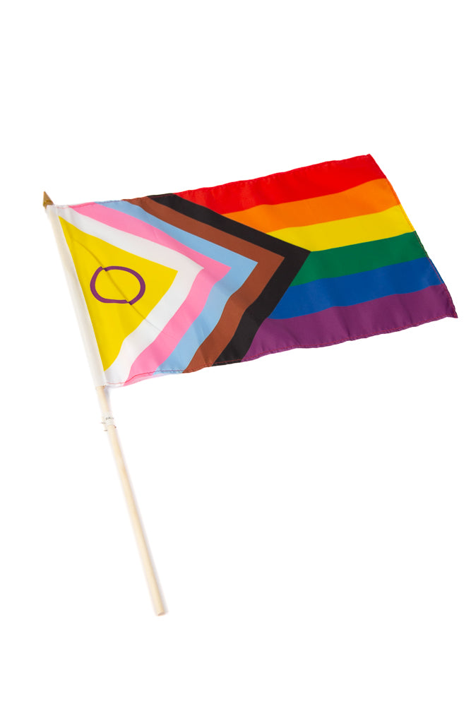 Stag Shop - Intersex Inclusive 12x18 Pride Flag On Stick - Stag Shop