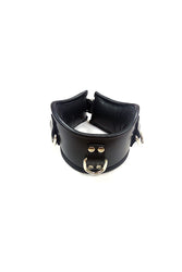 Rouge Garments - Padded Leather Posture Collar - Black - Stag Shop