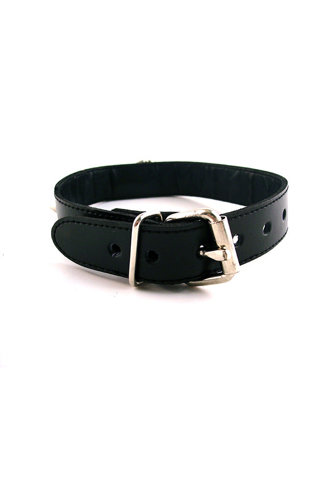 Rouge Garments - Studded Leather Collar with O-Ring - Assorted Colours - Stag Shop