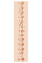 Fleshlight - Girls - Savannah Bond From Australia With Love: Custom Pussy Masturbator - Stag Shop