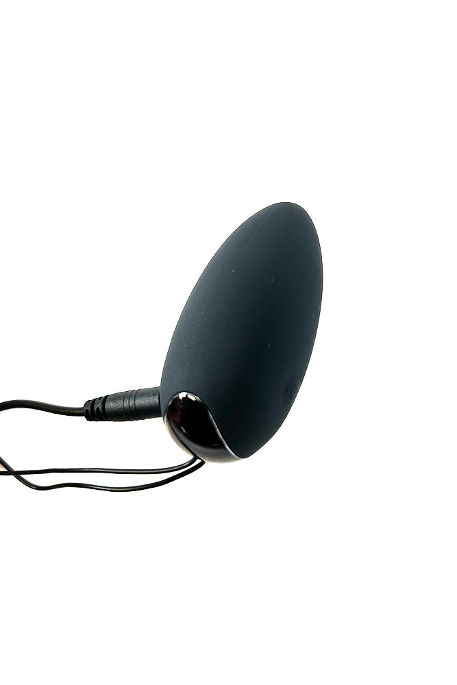 Screaming O - My Secret Vibrating Remote Control Egg & Flex Vibe