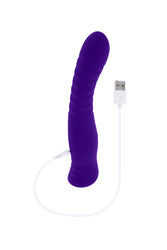 Selopa - Trixxxie Vibrator - Purple - Stag Shop