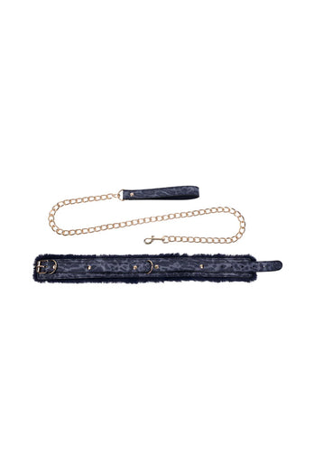 Sex & Mischief - Cougar - Collar & Leash - Blue/Gold - Stag Shop
