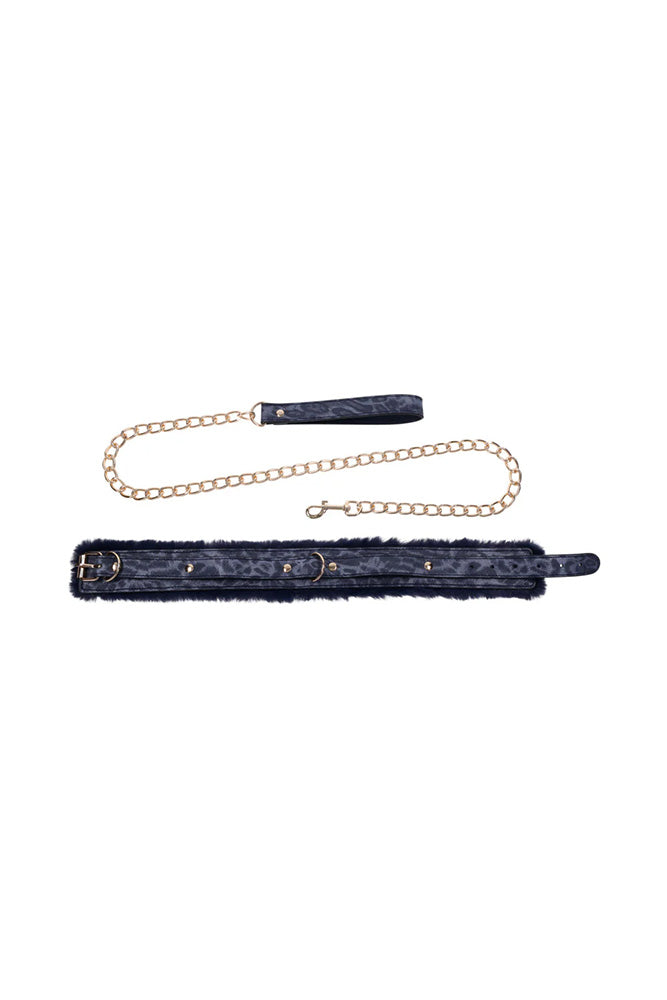 Sex & Mischief - Cougar - Collar & Leash - Blue/Gold - Stag Shop