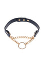 Sex & Mischief - Cougar - Day Collar - Blue/Gold - Stag Shop