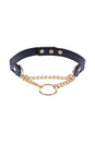 Sex & Mischief - Cougar - Day Collar - Blue/Gold - Stag Shop