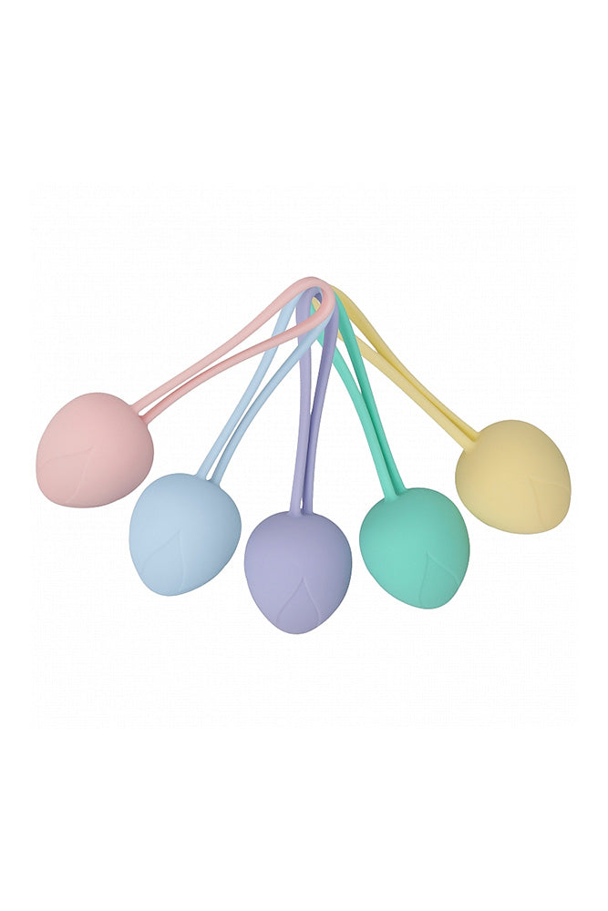 Shots Toys - Loveline - PelviFit Berry Weighted Kegel Kit - Stag Shop