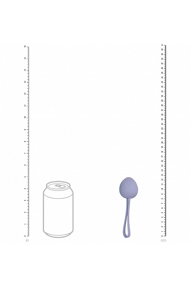 Shots Toys - Loveline - PelviFit Berry Weighted Kegel Kit