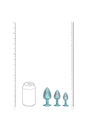 Ouch International - Paris Collection - Metal Anal Plug Set - Stag Shop
