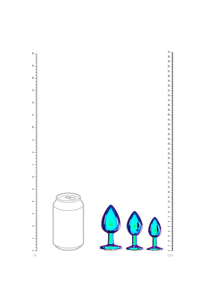 Ouch International - Venice Collection - Metal Anal Plug Set - Stag Shop