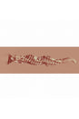 Shots Toys - Xkin - Pinup - Bettie Blowkiss Pussy Stroker - Stag Shop