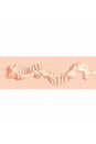 Shots Toys - Xkin - Raw - Pure Stretch Stroker - Stag Shop