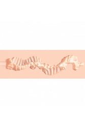 Shots Toys - Xkin - Raw - Pure Stretch Stroker - Stag Shop