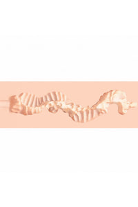 Thumbnail for Shots Toys - Xkin - Raw - Pure Stretch Stroker