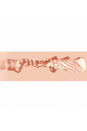 Shots Toys - Xkin - Raw - Soft Entry Stroker - Stag Shop
