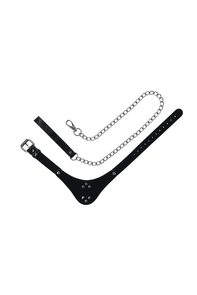 Sportsheets - Velvet Noir Collar & Leash - Stag Shop