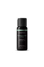 Wicked Sensual Care - Sensual Massage Oil - Honeysuckle & Ivy - 4oz - Stag Shop