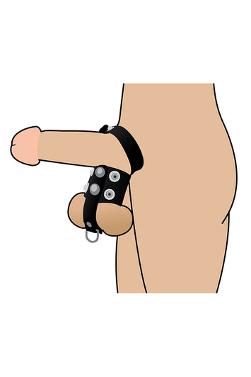 XR Brands - Strict - Cock Strap and Ball Stretcher - Black - Stag Shop