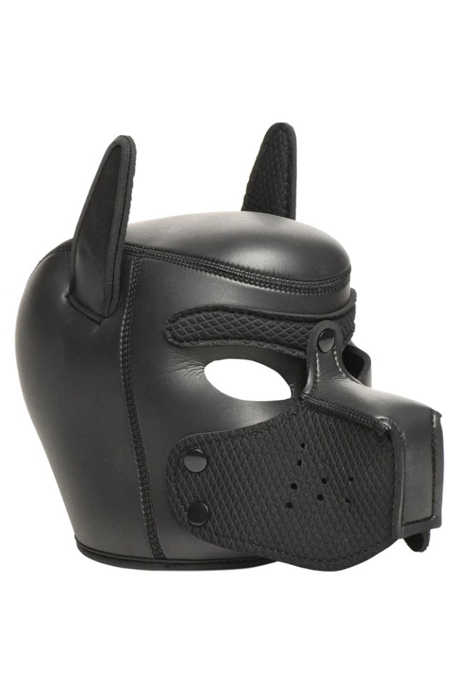 XR Brands - Master Series - Deluxe Pup Arsenal Set - Black - Stag Shop