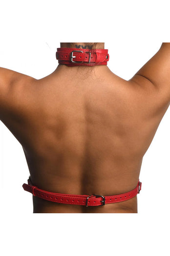 XR Brands - Strict - Female Chest Harness - Stag Shop