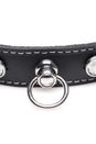 XR Brands - Master Series - Bling Vixen Choker with Rhinestones - Black/Clear - Stag Shop
