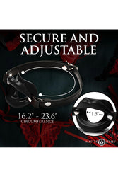 XR Brands - Master Series - Juicy Lips Silicone Open Mouth Gag - Stag Shop
