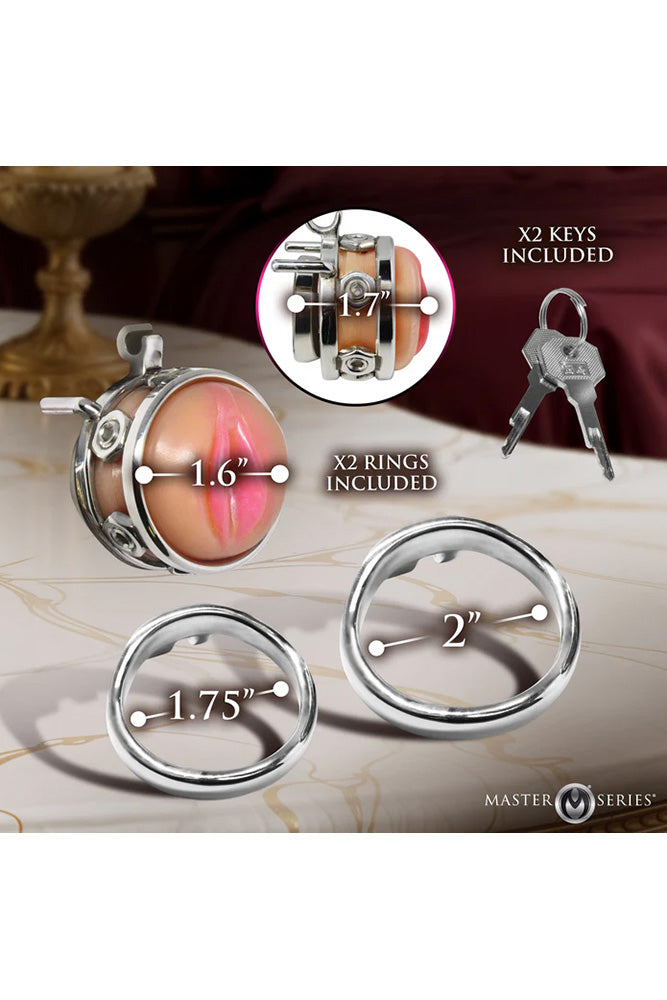 XR Brands - Master Series - Pussy Boy Metal Chastity Cage - Stag Shop