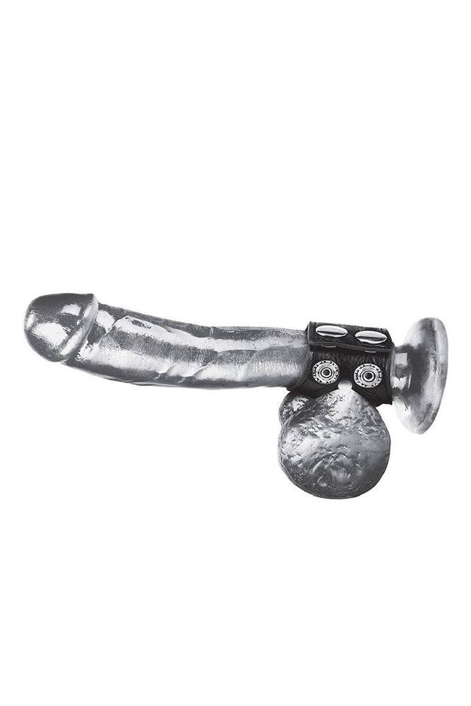 Electric Eel - Blue Line - 1.5 inch Cock Ring With Ball Strap - Black - Stag Shop