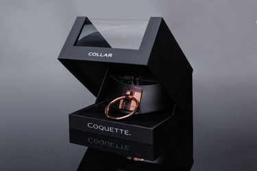 Coquette - Pleasure Collection - 22525 - Collar - Stag Shop