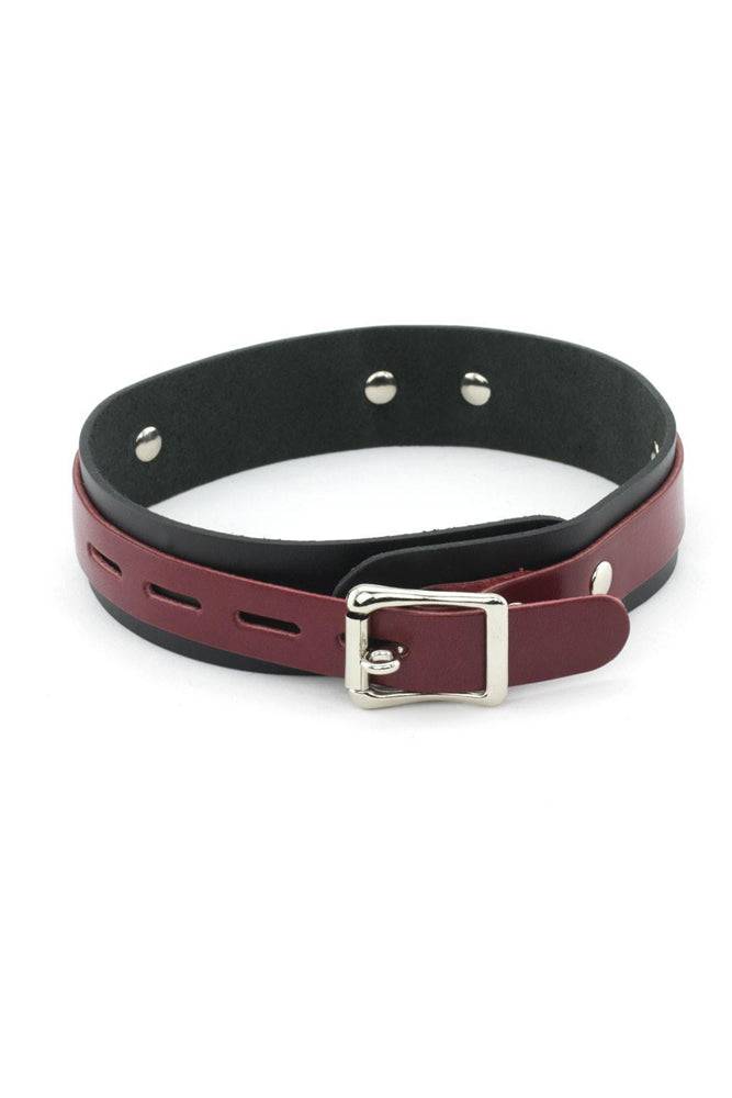 Ego Driven - 1 Ring Locking Slave Collars - Medium - Stag Shop