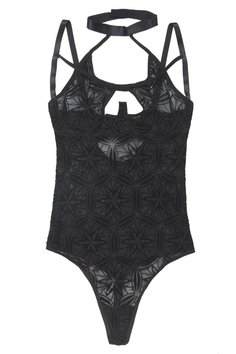 Coquette - 7227 - Teddy - Black - Stag Shop