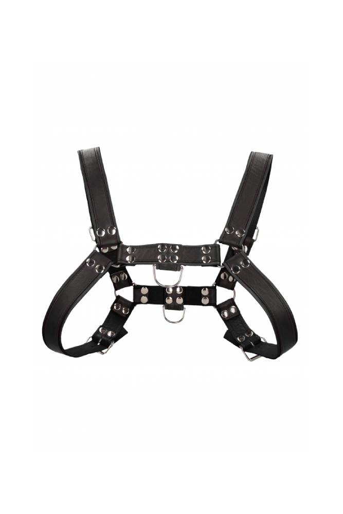 Ouch by Shots Toys - Premium Leather Bulldog Chest Harness - Black - Stag Shop